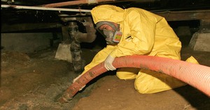 Water Damage Upper Darby Technician In Crawlspace