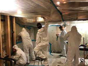 911 Restoration Mold Removal Philadelphia